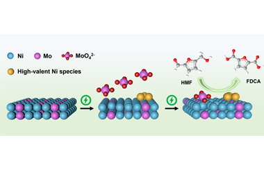 Unveiling the dynamic reconstruction mechanism of NiMo alloy for enhanced 5-hydroxymethylfurfural electrooxidation 2025.100697